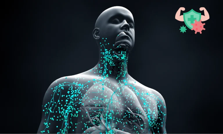 ما هي الأمراض المناعية الذاتية وتأثيرها على الدم؟ 2024 1 الأمراض المناعية الذاتية
