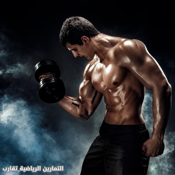 التمارين الرياضية