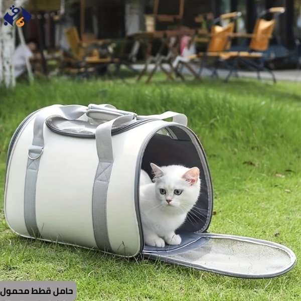 أفضل 3 أنواع حامل قطط محمول لعام 2025 4 حامل قطط محمول